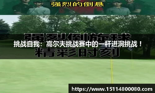 挑战自我：高尔夫挑战赛中的一杆进洞挑战 !